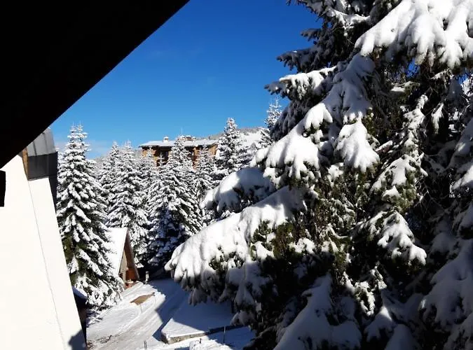 Plan - Centar شقة كوباونيك